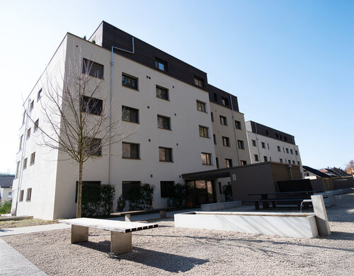 MFH Walkimatt 6-10