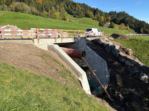 K 37 Ersatz Lauibachdurchlass Lauihof